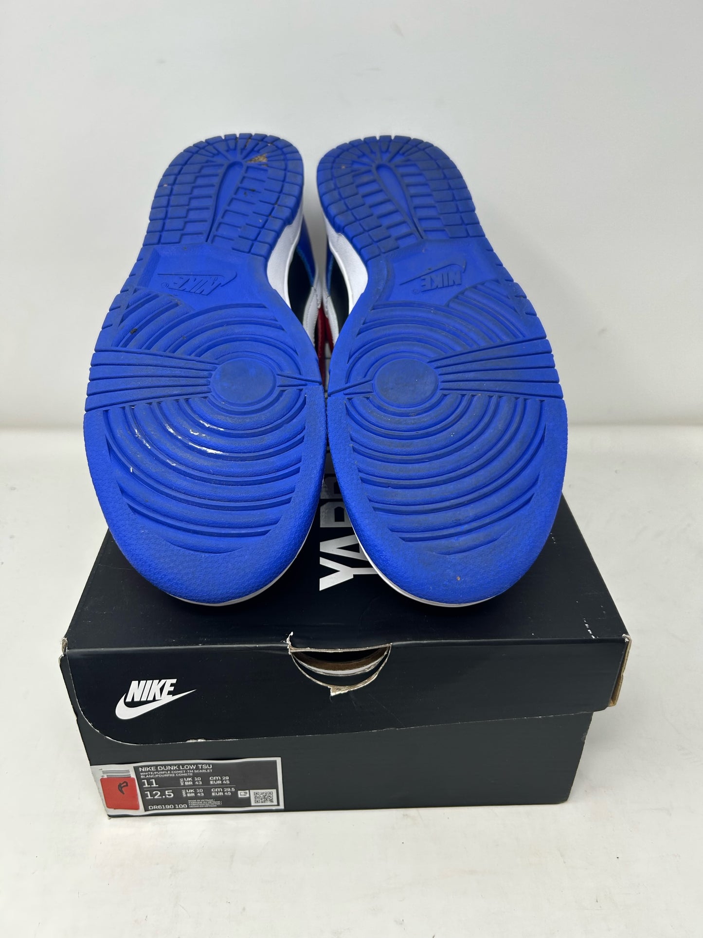 Nike Dunk Low “TSU”