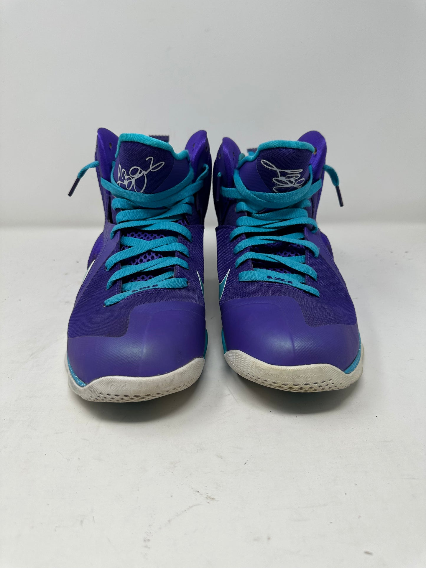 Lebron 9 “Lake Hornets”