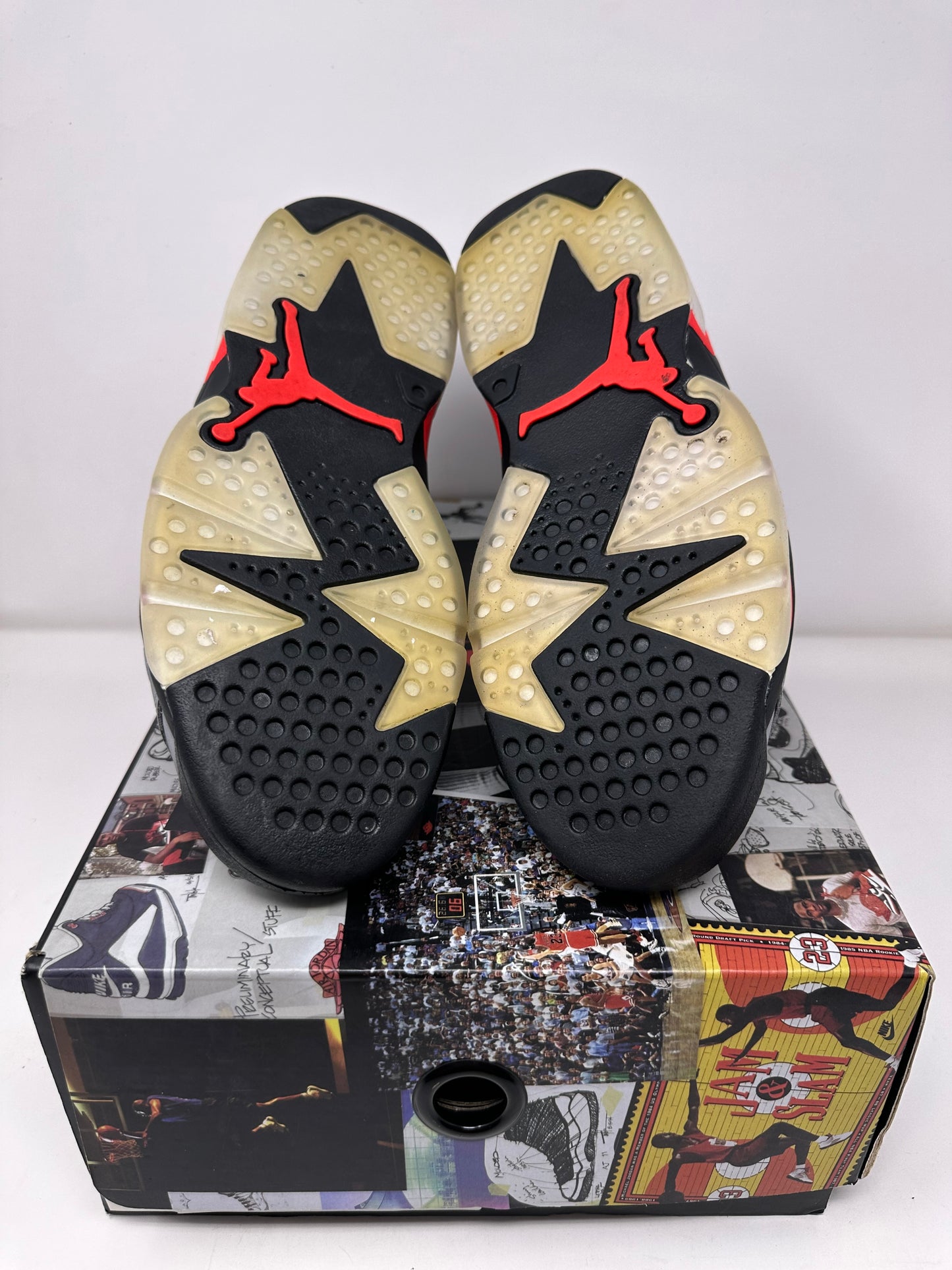 Jordan 6 “Reflections of a Champion”
