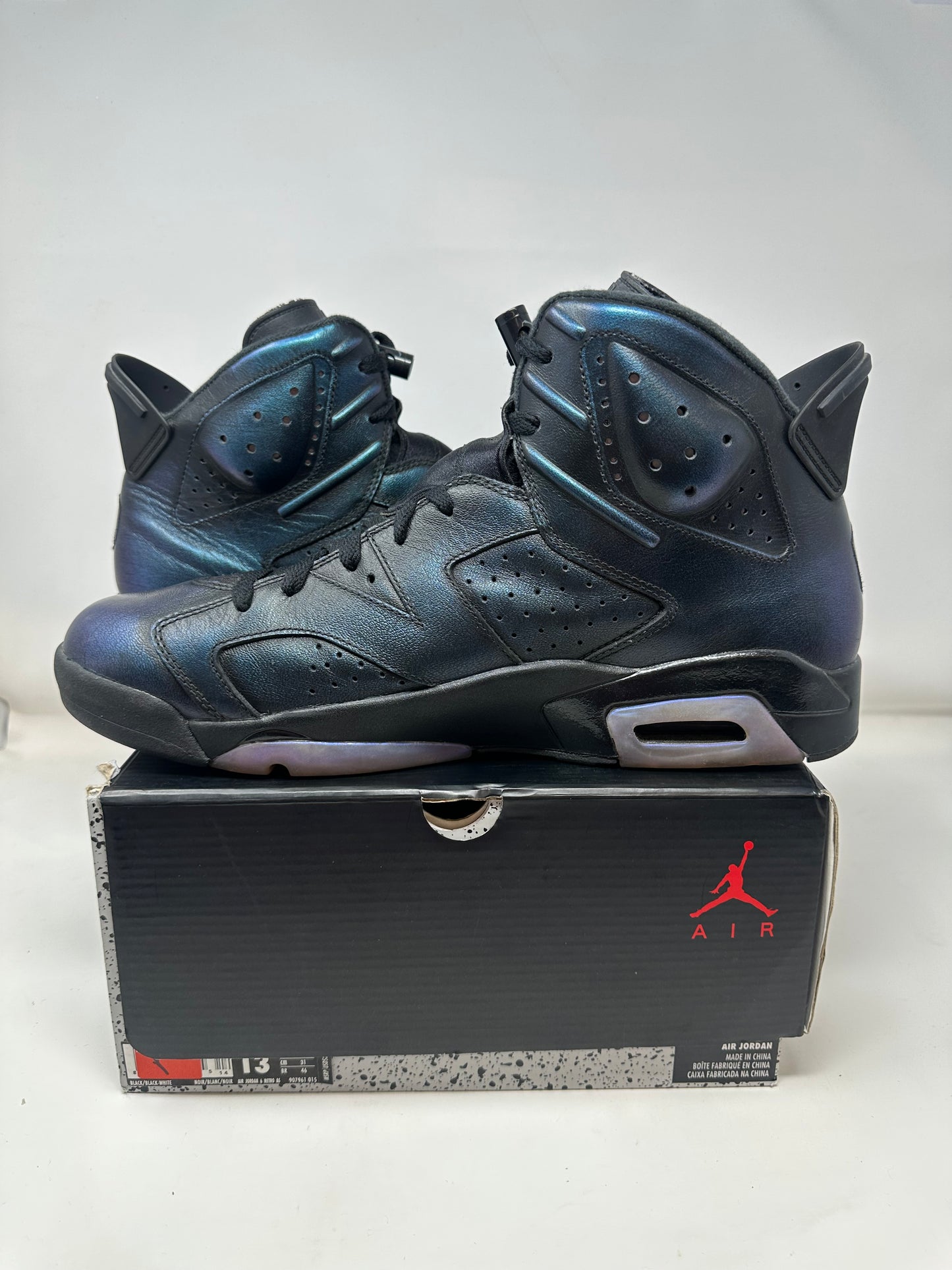 Jordan 6 “Chameleon”
