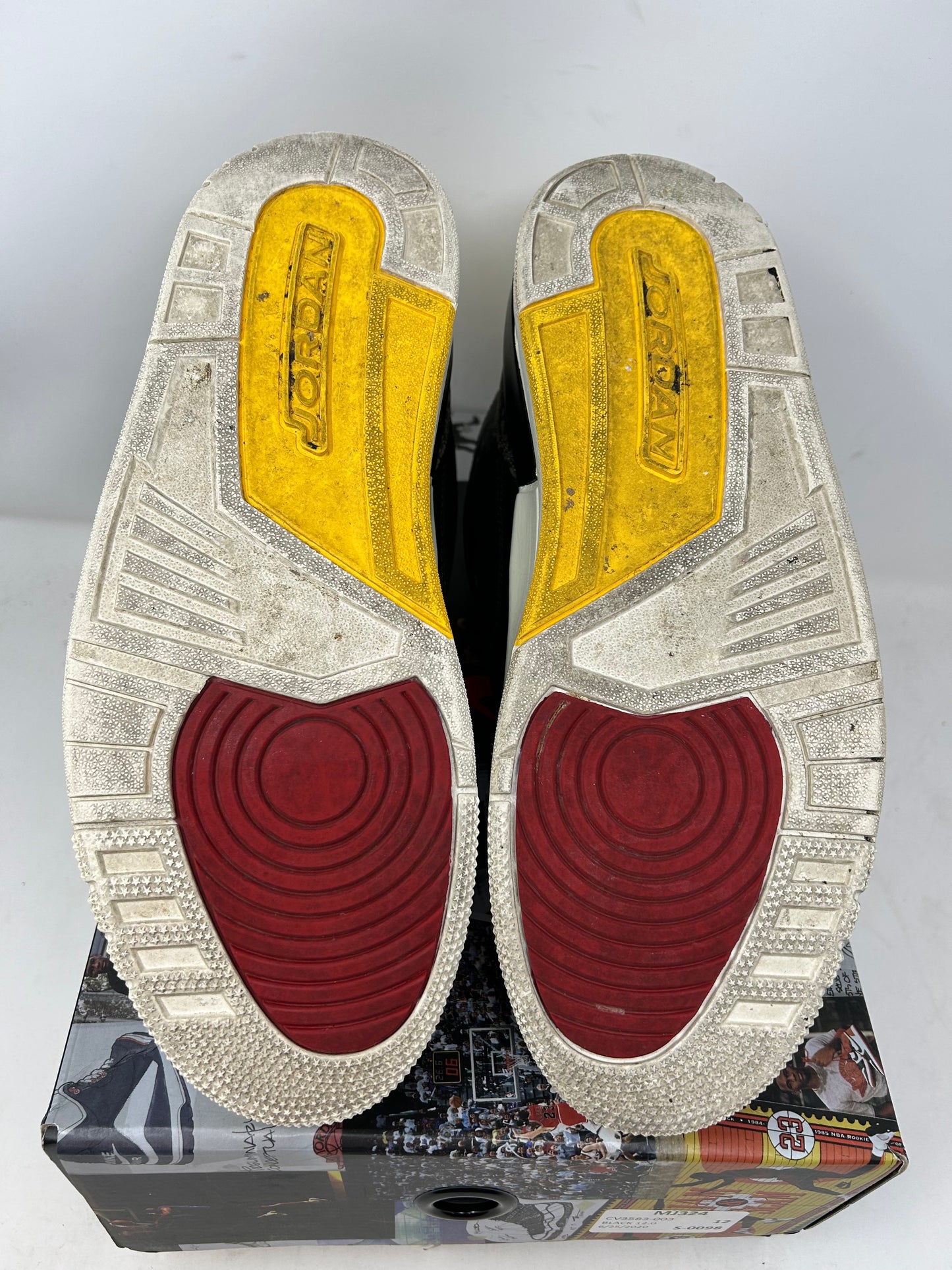 Jordan 3 “Animal Instinct 2.0”