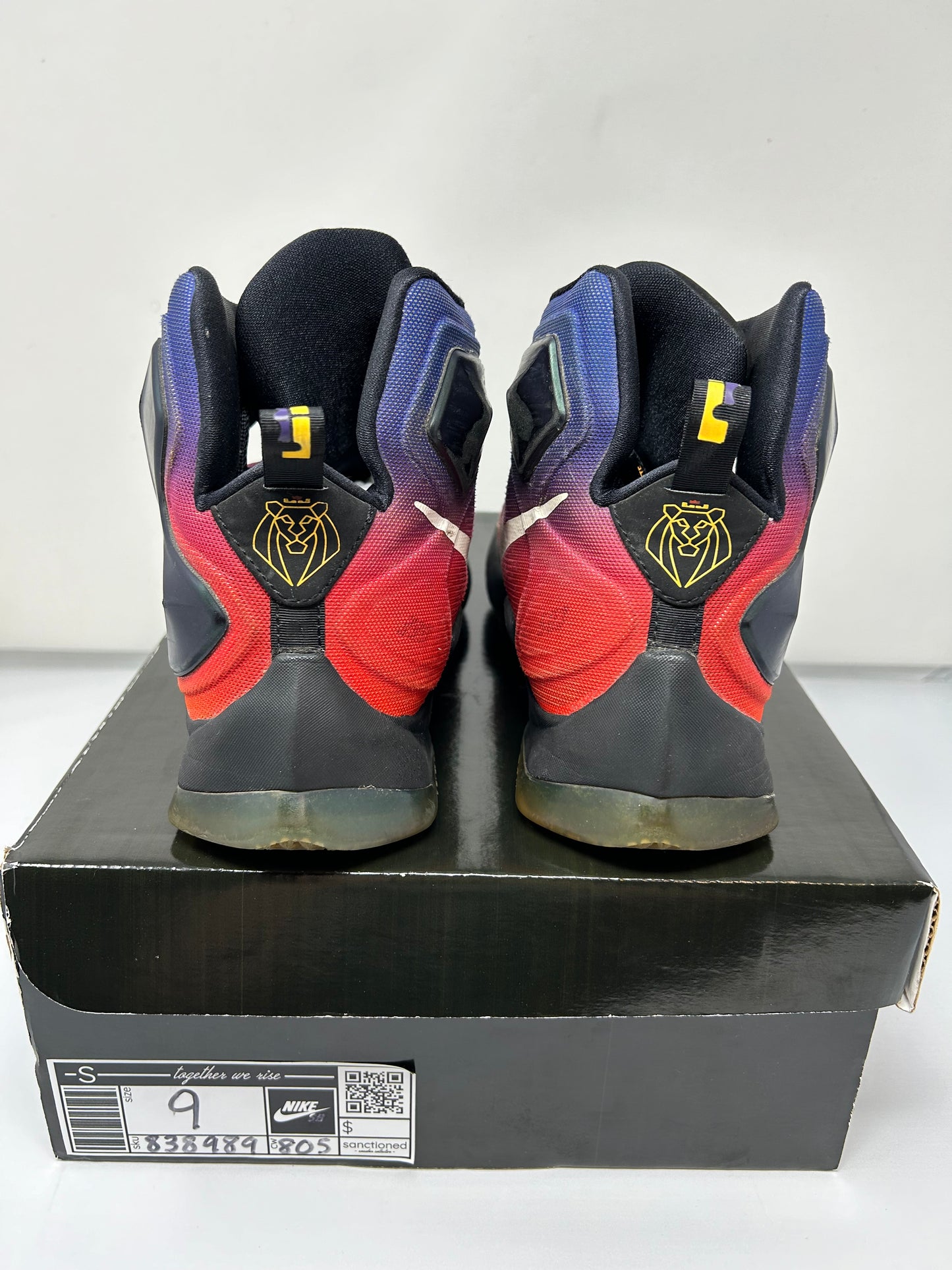 Nike LeBron 13 “Doernbecher”