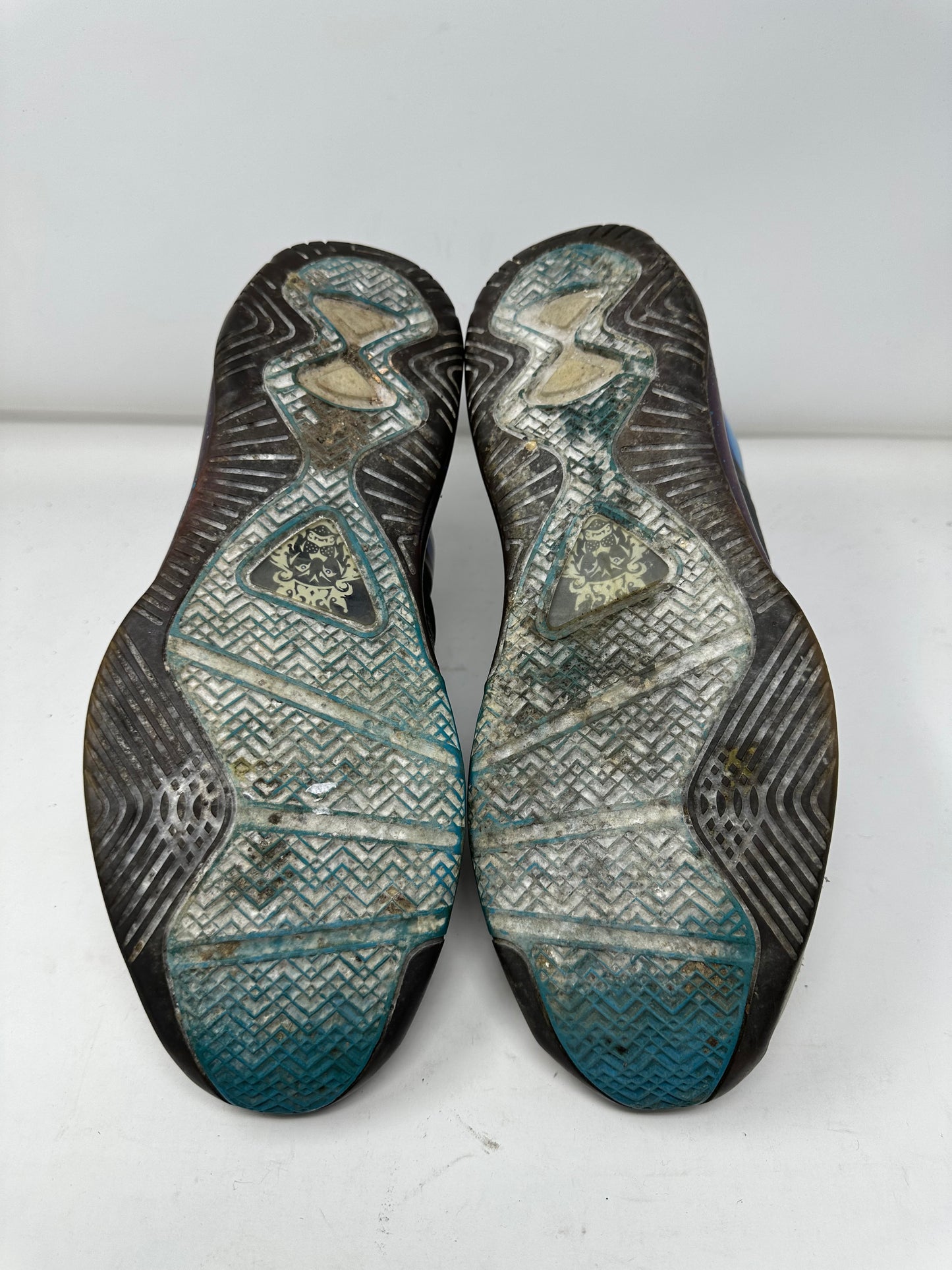 Lebron 8 “Summit Lake Hornets”