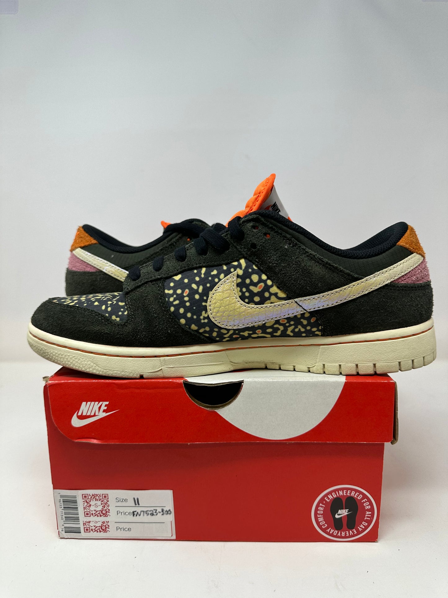 Nike Dunk Low “Rainbow Trout”