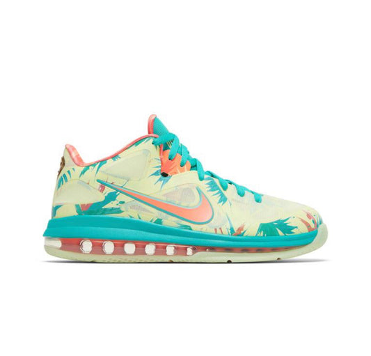 Nike Lebron 9 Low “LeBronald Palmer”