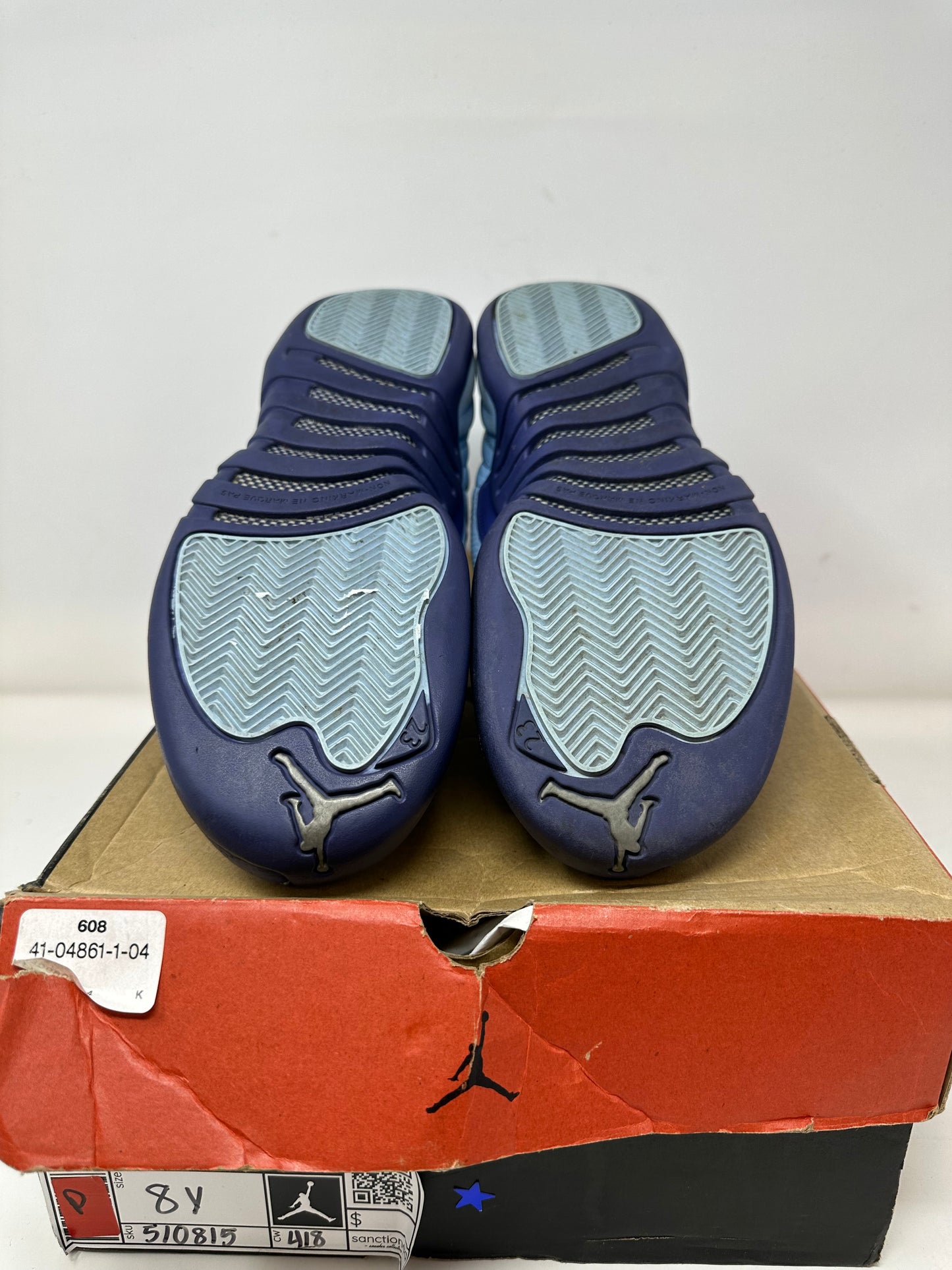 Jordan 12 “Hornets”