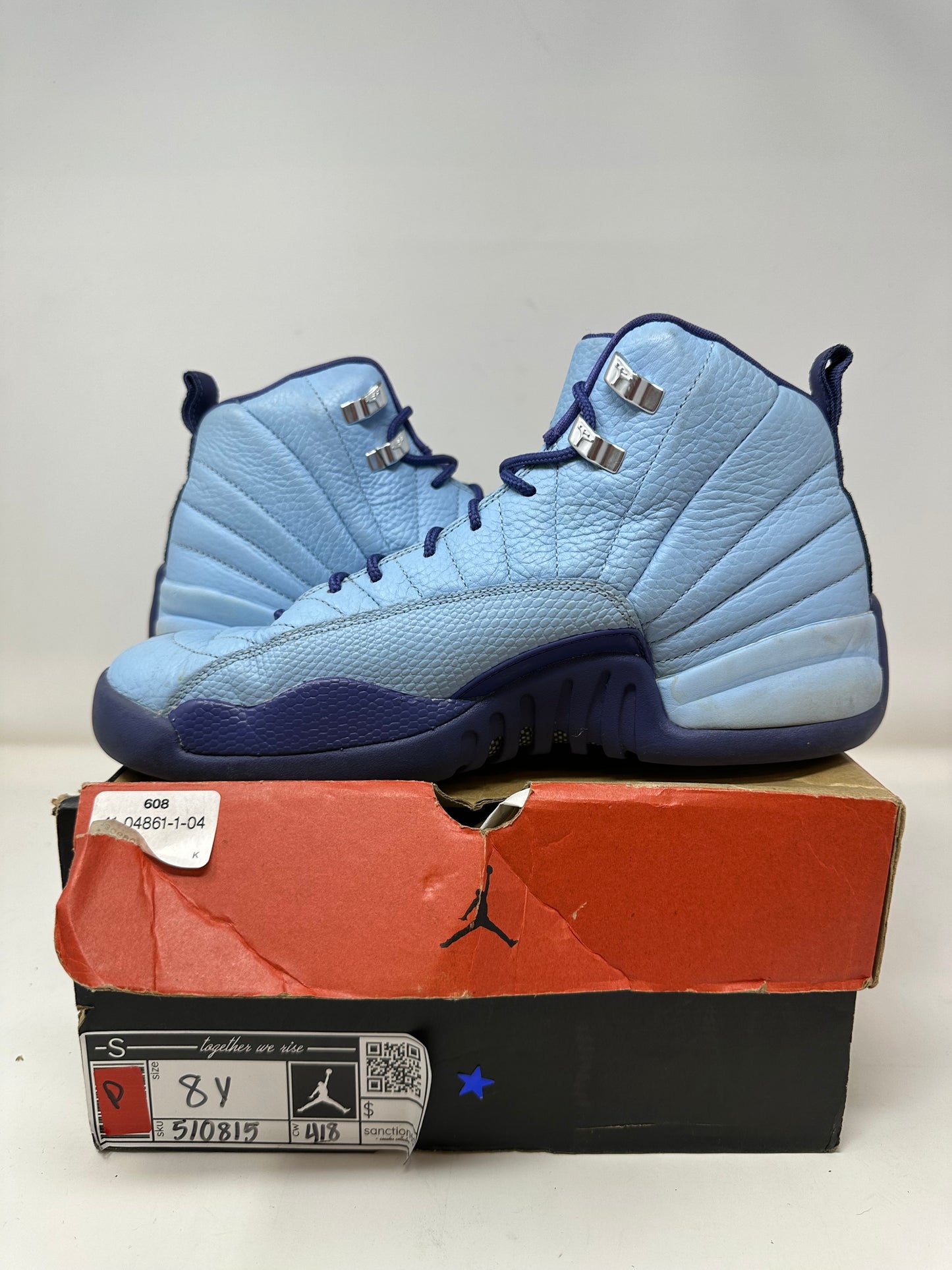 Jordan 12 “Hornets”